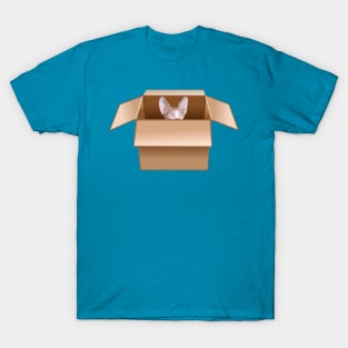 Sphynx Kitten Peeking from Cardboard Box T-Shirt